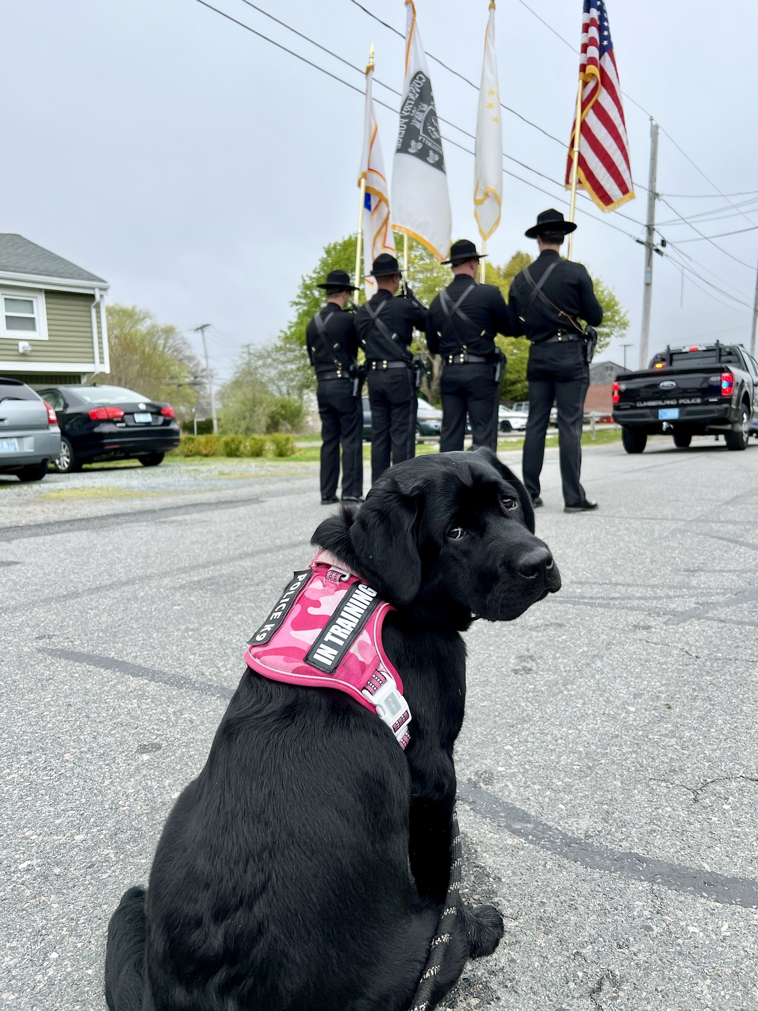 Jovie with Honor Guard